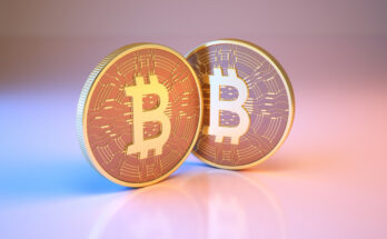 bitcoin dice